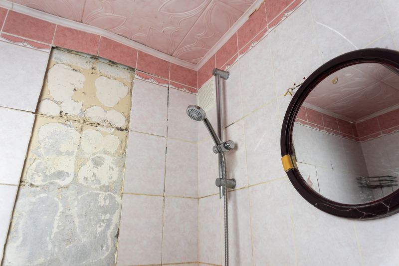 Top Shower Remodeling Companies in Franklin, OH